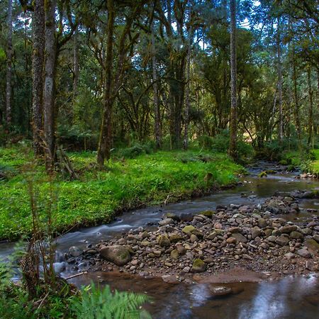 فيلا Refugio Tres Catarinas أوروبيسي المظهر الخارجي الصورة